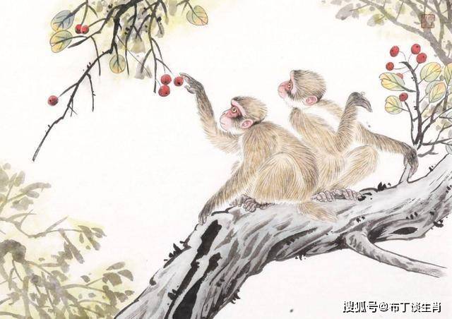十个指头春秋生肖飞提更高望更远是什么生肖,警惕虚假宣传-全面释义、解释与落实、实证解答解释落实