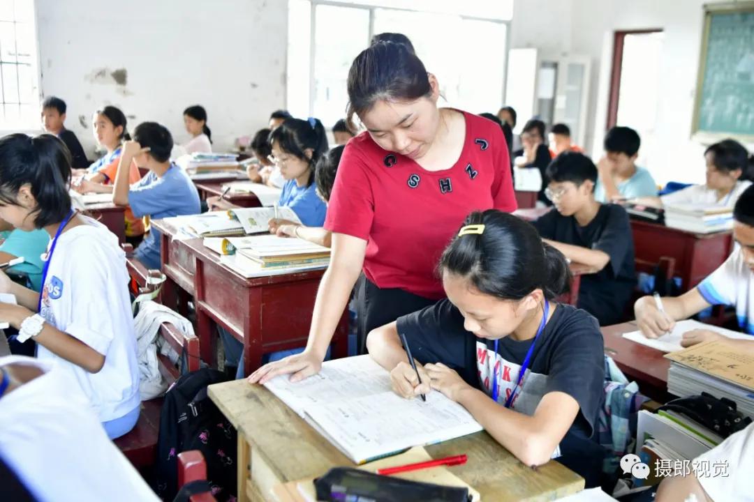 适者生存打一准确生肖仔细释义、解释与落实、深度解答解释落实