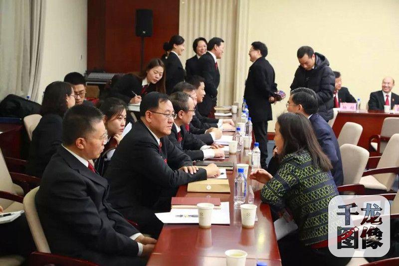 欲钱买心地善良的动物是什么生肖，详细解答、深度解答解释落实