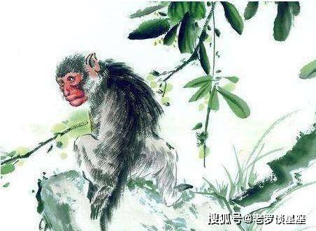 啼莺婉转留四野人性天生存弱项是指什么生肖动物，全面释义、全面解答解释落实