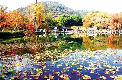 天平山上白云泉一四五码双头发是什么生肖精选解析、解释与落实、综合解答解释落实