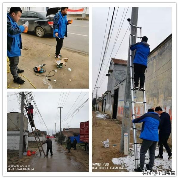 欢天喜地，天生看家，画虎画皮难画骨打一个正确生肖仔细释义、解释与落实、构建解答解释落实