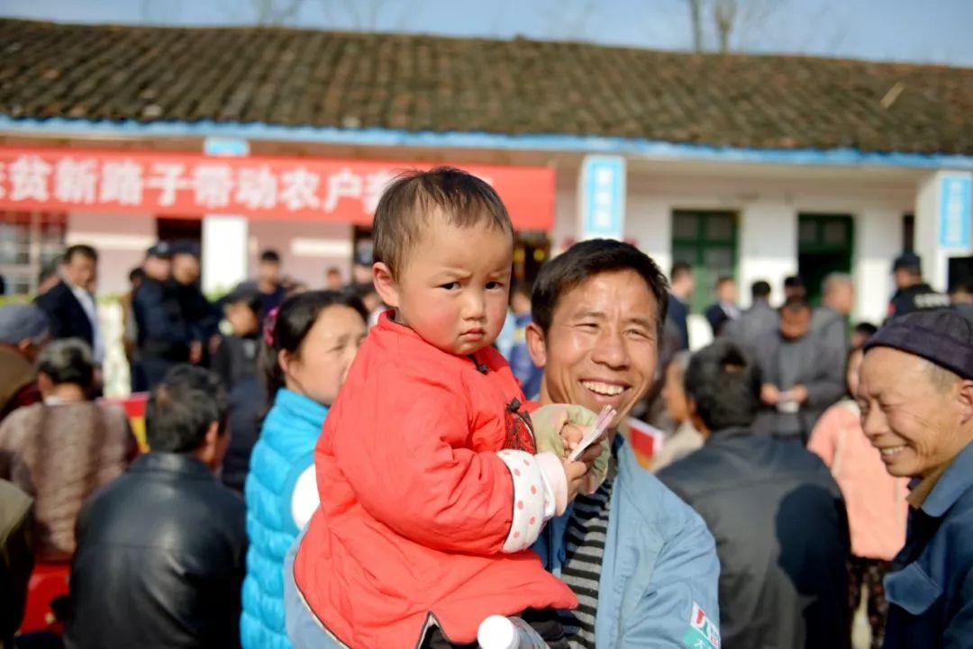 手執鸡毛，难变令箭，不是发梦即发颠打一准确生肖，全面释义、构建解答解释落实
