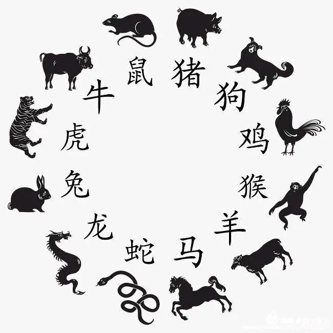 实话实说打一正确生肖全面释义、综合解答解释落实