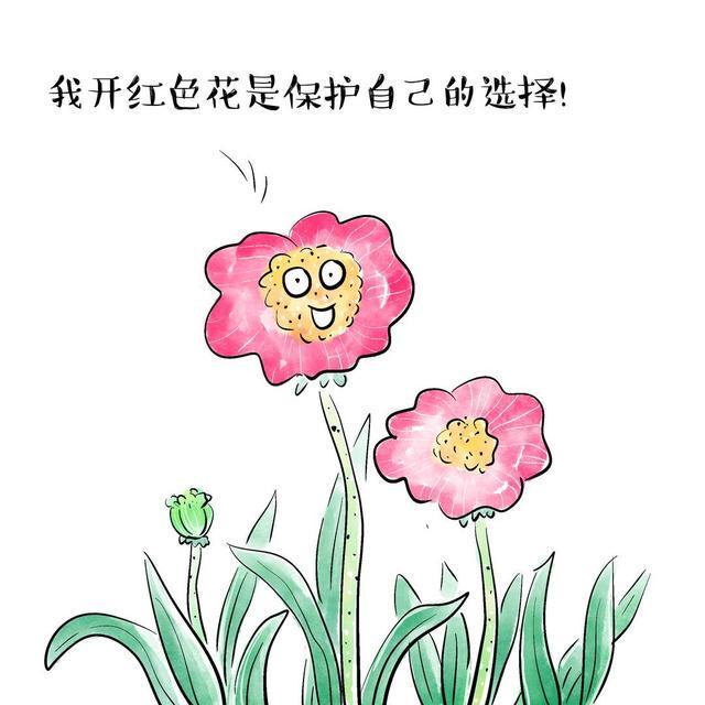 十八姑娘一朵花五颜六色景如画是什么生肖,警惕虚假宣传-全面释义、解释与落实、构建解答解释落实