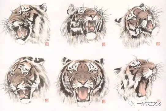 欢天喜地，天生看家，画虎画皮难画骨打一个正确生肖全面释义、科学解答解释落实