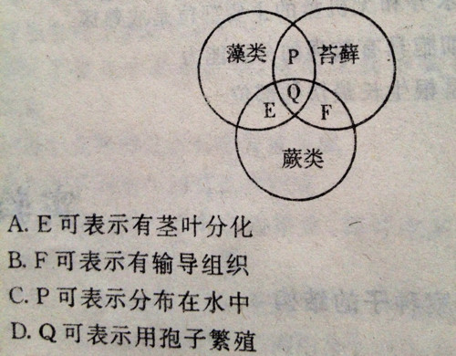 装模作样，十分讨厌，无钱无权梦难圆打一准确生肖,警惕虚假宣传-全面释义、解释与落实、专家解答解释落实