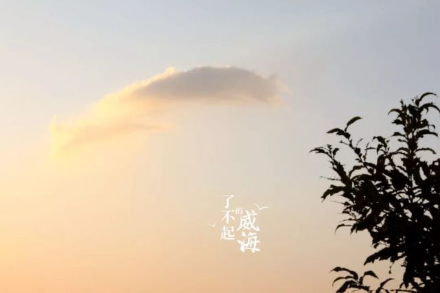 云物凄凉拂曙流是什么生肖,警惕虚假宣传落实,构建解答解释落实
